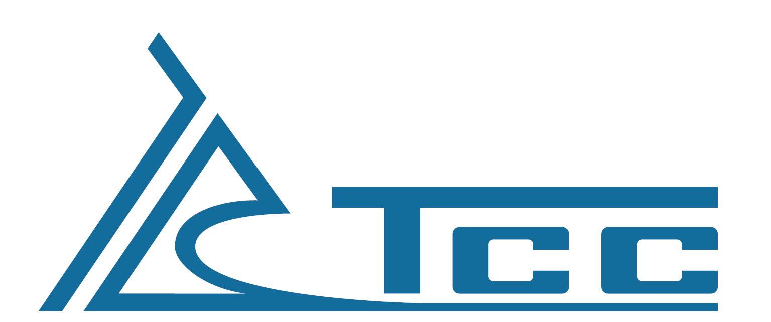 Ремонт дизельных генераторов ТСС