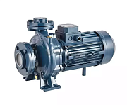 Насос центробежный моноблочный Purity PSTC 50-250/150