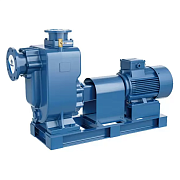 Самовсасывающий насос для загрязненной воды PURITY PZWM 65-30-18/2