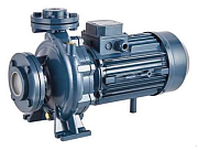 Насос центробежный моноблочный Purity PSTC 32-125/7 (N)